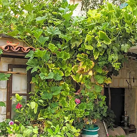 Turkish Cave House